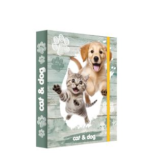 Box na sešity A5 Jumbo MAX - Cat & Dog