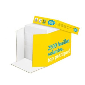 Kopírovací papír Data Copy Everyday A4, 80g Non stop box 2500 listů 