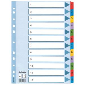 Kartonový rozřazovač Esselte Mylar 1-12