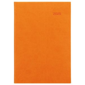 Diář Viva denní A5 14,8 x 21 cm oranžový 2026 