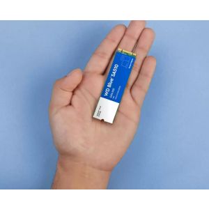 WD Blue SA510/500GB/SSD/M.2 SATA/5R WDS500G3B0B