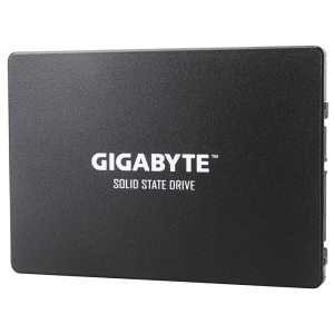 GIGABYTE SSD 1TB GP-GSTFS31100TNTD