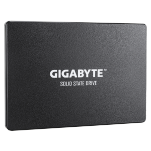 GIGABYTE SSD 1TB GP-GSTFS31100TNTD