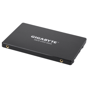 GIGABYTE SSD 1TB GP-GSTFS31100TNTD
