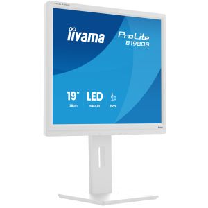 iiyama ProLite/B1980S-W1/19"/TN/1280x1024/75Hz/3ms/White/3R B1980S-W1