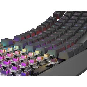 Genesis herná klávesnica THOR 230/TKL/RGB/Outemu Brown/Drôtová USB/US layout/Čierna NKG-2079
