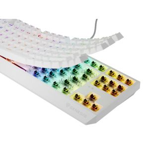 Genesis herná klávesnica THOR 230/TKL/RGB/Outemu Brown/Drôtová USB/US layout/Biela NKG-2080