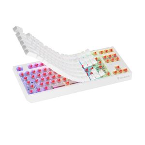 GENESIS herná klávesnica THOR 230/TKL/RGB/Outemu Red/Bezdrôtová USB + Bluetooth/US layout/Biela NKG-2165