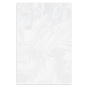 Kapsa plochá (LDPE) transparentní 30 x 50 cm [100 ks]