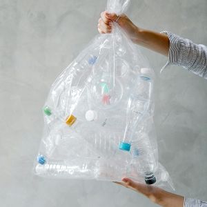 Kapsa plochá (LDPE) silná transparentní 30 x 50 cm [100 ks]