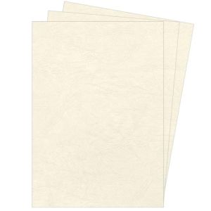 Kartonové obálky pro kroužkovou vazbu Delta kůže A4 slonovinové