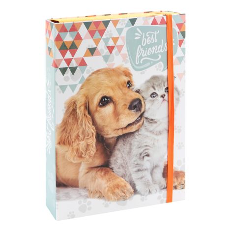 Box na sešity A4 Jumbo MAX- Best Friends