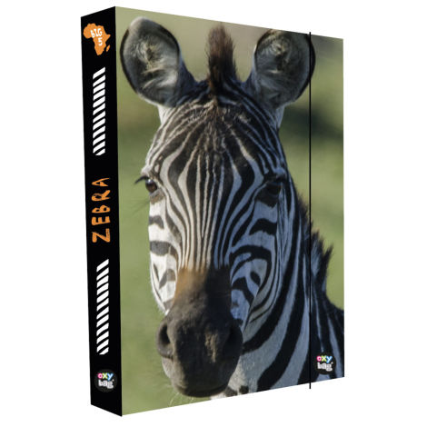 Box na sešity A4 Zebra