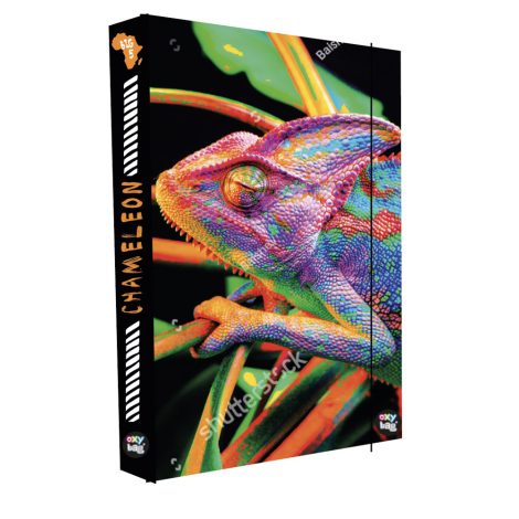 Box na sešity Jumbo Chameleon