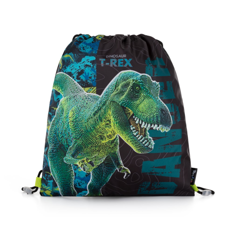 Kapsa na přezůvky s potiskem - Premium Dinosaurus