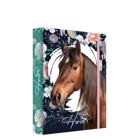 Box na sešity A5 Jumbo MAX - Horse