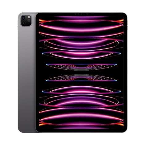 Apple iPad Pro 12.9"/WiFi/12,9"/2732x2048/8GB/256GB/iPadOS16/Space Gray MNXR3FD/A
