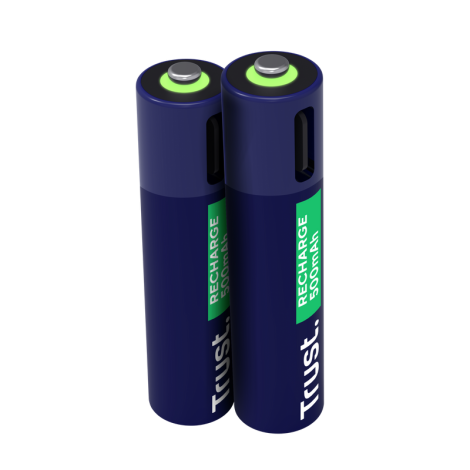 USB-C RECHARGEABLE BATTERIES 2P - AAA 25585