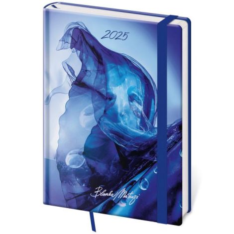 Diář Vario denní A5 14,3x20,5 cm s gumičkou Matragi Blue 2026 