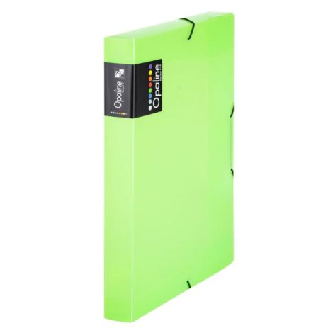 Plastový box s gumičkou Karton PP Opaline, zelený 