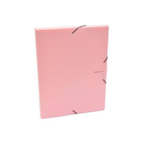 Plastový box s gumičkou Karton PP Pastelini růžový 