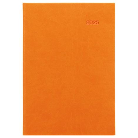 Diář Viva denní A5 14,8 x 21 cm oranžový 2026 