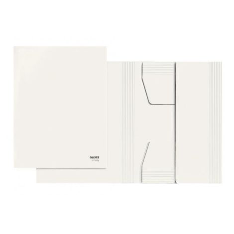 Archivní obal na spisy Leitz Infinity karton A4 
