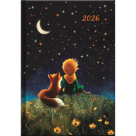Diář týdenní A5 14,2 x 20,4 cm - ART Malý princ 2026 