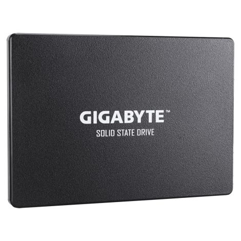 Gigabyte SSD/256GB/SSD/2.5"/SATA/3R GP-GSTFS31256GTND