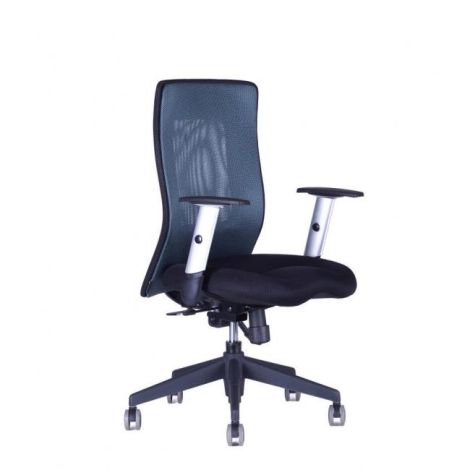 Kancelářská židle CALYPSO XL BP antracitová