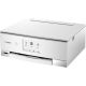 Pixma TS8251